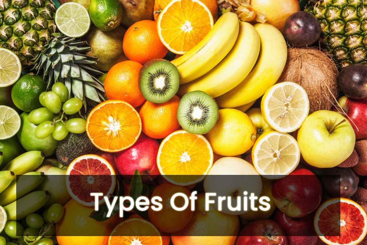 Types Of Fruits – Kinds Of Fruits In The World - 2022